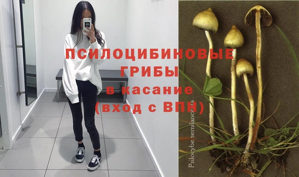 винт Абинск